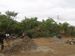 Uganda cesta do Kampaly 6