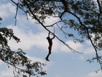Vesnice Sambour děti si hrajou skokama do vody z velkých stromů 2
