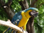 Manati Park