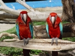 Manati Park 3