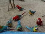 Manati Park 4