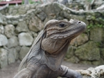 Manati Park 6