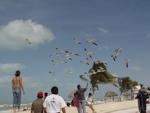 Mexický záliv  - rackové stojící ve větru