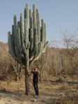 Kaktus - trochu větší - póza Jiří