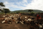 Masai Mara vesnice