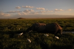 Amboseli -  s pozadím Kilimanžára 3