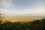 Ngorongoro