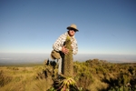 Začínáme s výstupem Dan u flory Mount Keni