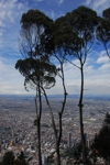 Venezuela_1_001-small_thumb