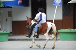 Kluci jezdí ve městečkách na koních